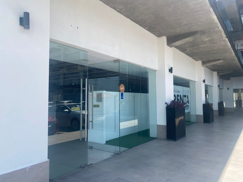 Escobedo, 66055, ,Local,Renta,1111