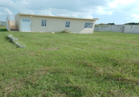 Allende, 67460, ,Terreno,Venta,1133