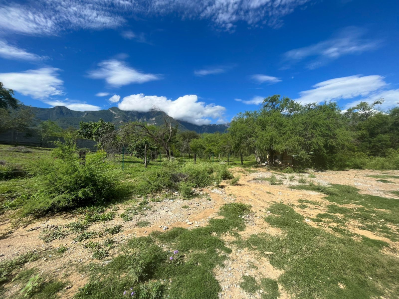 Monterrey, ,Terreno,Venta,1014