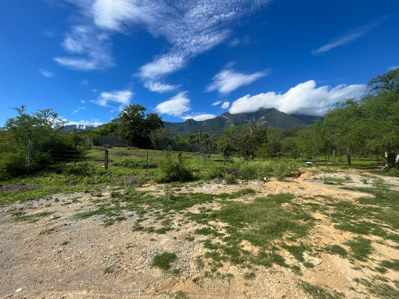 Monterrey, ,Terreno,Venta,1014