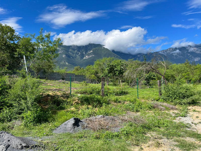 Monterrey, ,Terreno,Venta,1014