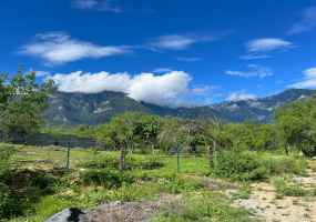 Monterrey, ,Terreno,Venta,1014