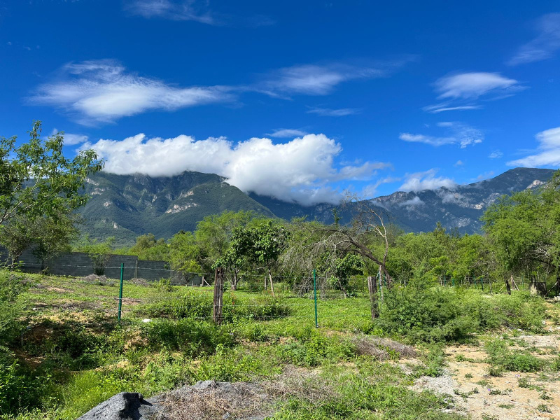 Monterrey, ,Terreno,Venta,1014
