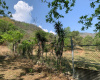 Santiago, ,Terreno,Venta,1031