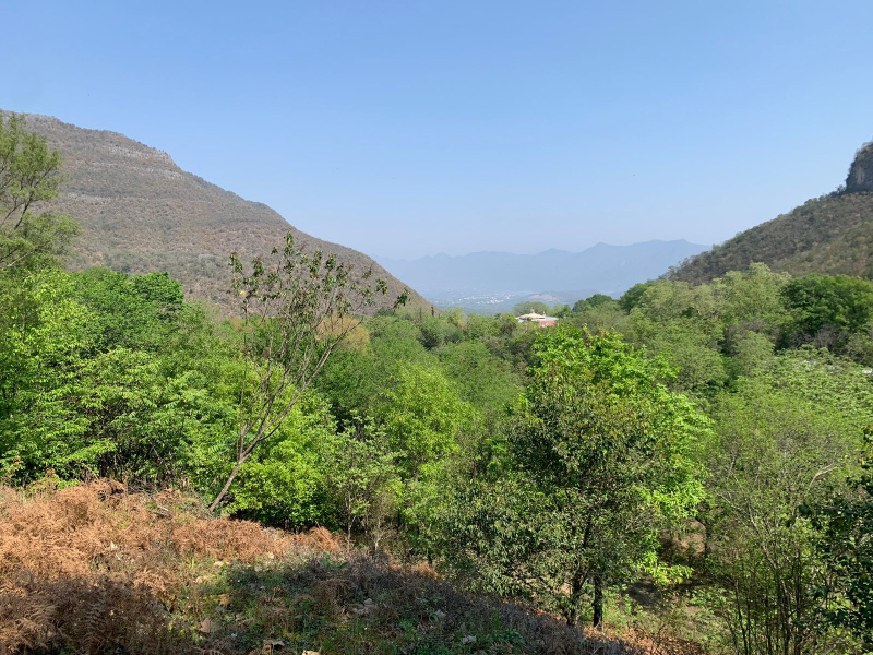 Santiago, ,Terreno,Venta,1031