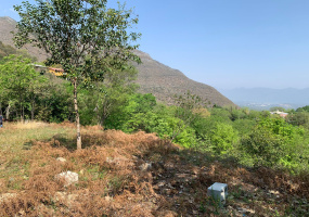 Santiago, ,Terreno,Venta,1031