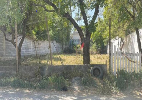 Allende, 67350, ,Terreno,Venta,1060