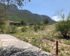 Santa Catarina, 66196, ,Terreno,Venta,1090