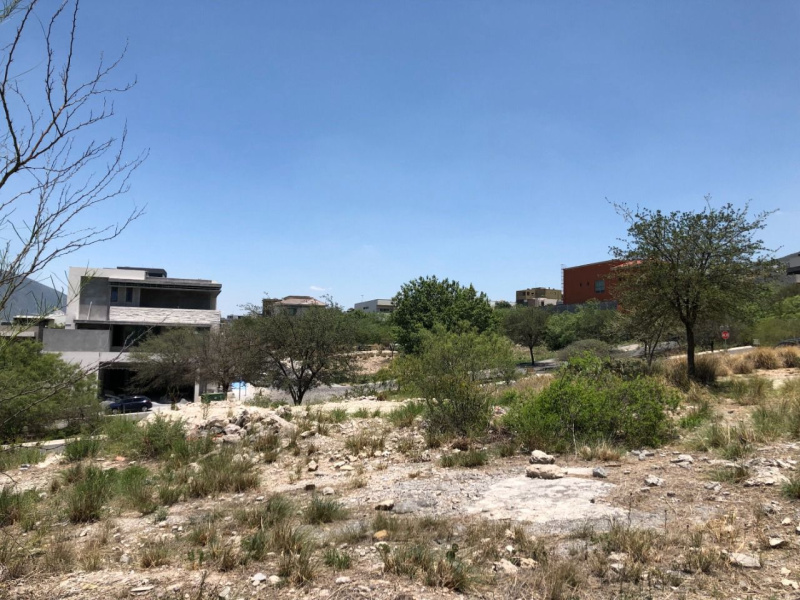 Santa Catarina, 66196, ,Terreno,Venta,1090